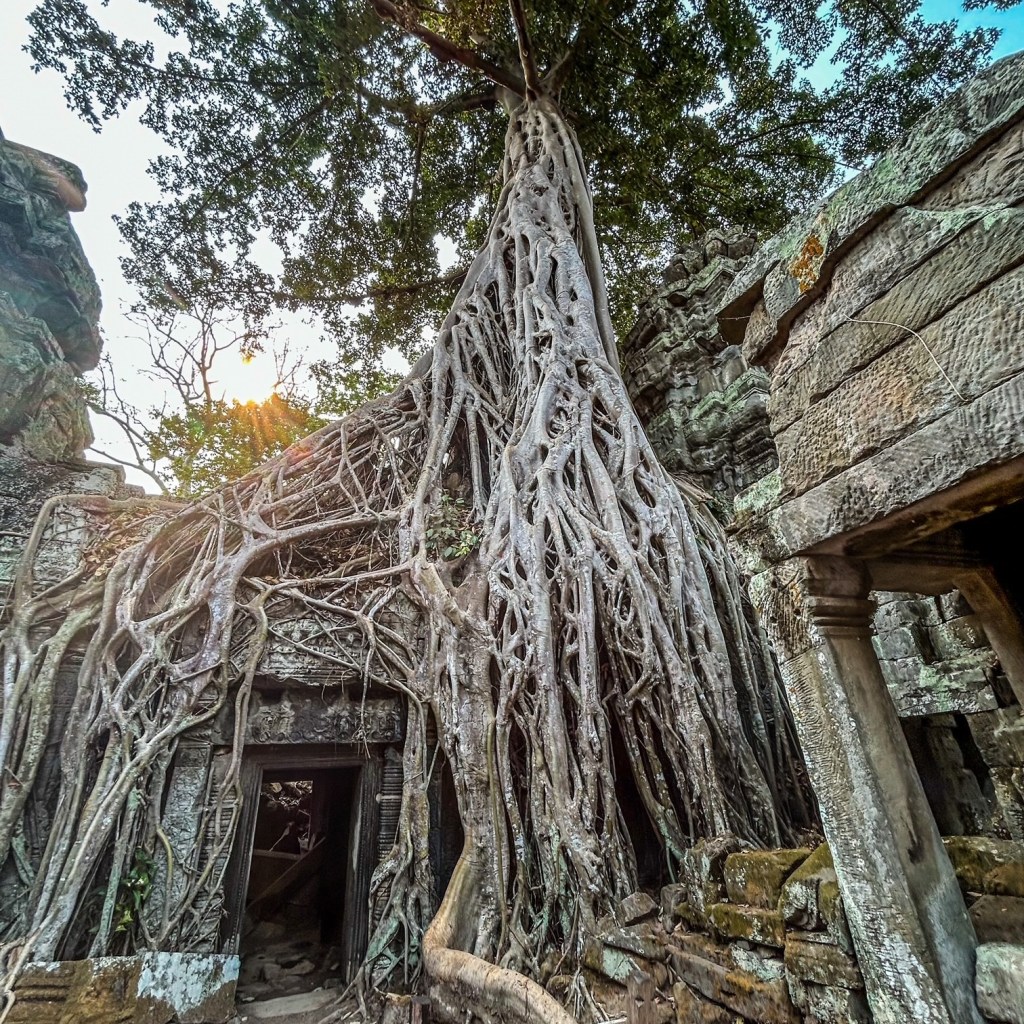 Travels: Simply Hip Siem&nbsp;Reap